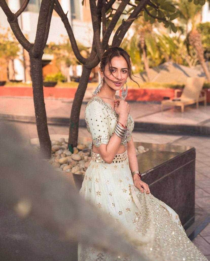 Mulberry Mirror Zari Work Lehenga for Festive Occasions - MYLUXURY LANE ENTERPRISE